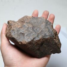 643 gram Unclassified NWA Meteorite Slice  A5497 picture