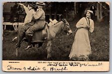 Donkey Animal Black White Cancel 1910 Antique Bethlehem Pennsylvania PM Postcard picture