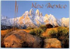 Postcard Organ Mountain New Mexico USA North America picture