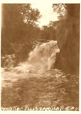 1920s SPECULATOR NY CHRISTINE FALLS GEO. A STEPHENS AZO RPPC POSTCARD P2838 picture