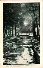 Vtg 1900s Sulphur Brook Clifton Springs New York NY Postcard picture