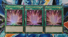 Yu-Gi-Oh 3x Magic Stone Excavation SS05-DEV02 German BOOSTER FRESH 1st edition picture