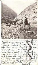 NEW MEXICO MISSIONARIES TO VISIT A PLAZA - UNDIVIDED BACK PRIVATE MAILING CARD picture