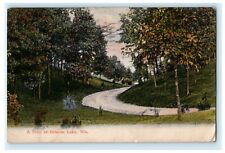 1908 A Peep at Delavan Lake Wisconsin WI Posted Antique Postcard picture