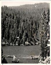 LG927 1949 Original Photo SWIMMING TOO Hume Lake Chain of Logs California Fresno picture