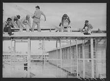 Camp Blanding,Starke,Florida,FL,Bradford County,Farm Security Administration picture