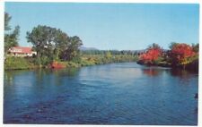 Jackman ME Moose River Postcard Maine picture