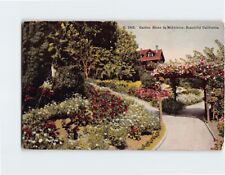 Postcard Garden Scene in Midwinter Beautiful California USA picture