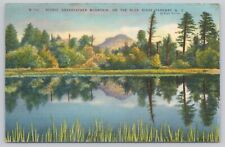 Lenoir North Carolina, Grandfather Mountain Scenic View, Vintage Postcard picture