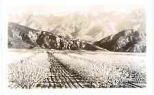 Banning Real Photo RPPC Mountains Almond Orchard Bloom1920 CA  picture