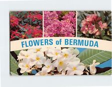 Postcard Flowers of Bermuda, British Overseas Territory picture