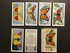 1960 Swettenhams Butterflies & Moths Set of 25 Cards Sku679N picture