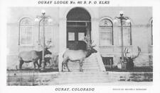 Ouray, Colorado - BPOE Elks Ouray Lodge No. 492 - EARLY Card picture