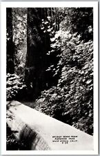 Bridge Hewn From Redwood Tree Muir Woods California CA Real Photo RPPC Postcard picture
