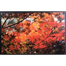 Orange Fall Leaves Postcard Reader Service vn picture