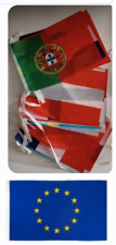 2 ITEMS: 1 EUROPEAN UNION FLAG (3X5 FT) + 1  EURO-2021 FLAGS ON A STRING $25 picture