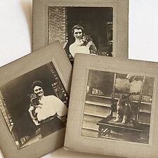 Antique Cabinet Card Photograph Young Women Beloved Tabby Cat Lot Of 3 Same Cat picture
