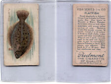 T58 American Tobacco, Fish, 1910, Flat Fish (A17) picture