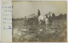 Rppc Harvesting Cabbage at Locust Hill Farm, West Hill Real Photo Postcard O16 picture