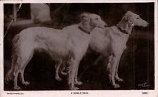 RPPC Postcard Two White Borzoi Dogs Rapid Photo UNP DB PM 1907 A Noble Pair picture