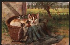 Old Postcard Cat w/ Kittens in Basket St. Louis Flag Cancel May 1st 1908 picture