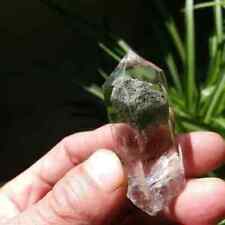 33.5g Rare Natural Green Garden Quartz Crystal Single Point healing D56 picture