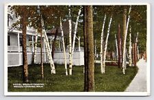 c1915-20s~Hotel Wequetonsing~Michigan MI~Patio & Driveway~Antique Postcard picture