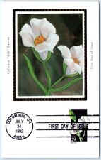 Postcard - Sego Lily picture