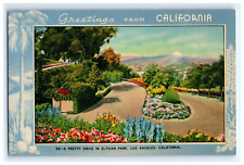 Vintage Postcard Greetings From California Elysian Park Los Angeles Pretty-b picture