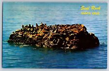 Postcard Seal Rock off Lighthouse Point Santa Cruz California    E 16 picture
