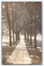 Leland Iowa IA Postcard RPPC Photo Tree Lined Scene 1908 Posted Antique picture