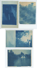 SET OF 4 3.5X5 CYANOTYPES picture