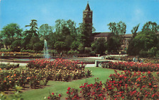 Los Angeles CA, University of So California Rose Garden Exposition Park Postcard picture