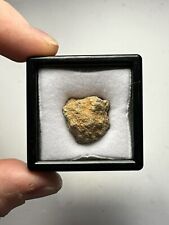NWA 12241 Martian Shergottite Meteorite 4.9g - OWN A CLASSIFIED PIECE OF MARS picture