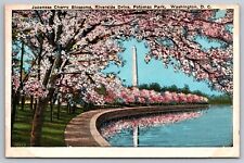 Japanese Cherry Blossoms. Riverside Dr, Potomac Park, Washington DC Postcard picture