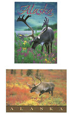 2 Alaska Caribou AK Postcards Wildlife picture