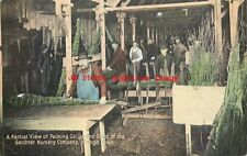IA, Osage, Iowa, Gardner Nursery Company, Packing Cellar, Shed, Gilbert Pub picture