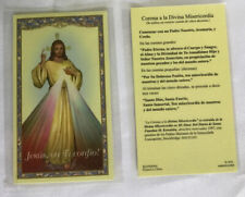 Divine mercy Spanish prayer card Laminated picture