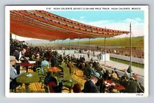 Agua Caliente Mexico, Agua Caliente Jockey Club, Race Track, Vintage Postcard picture