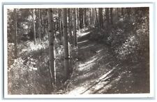 c1930s Devil's Head Trail Denver Colorado Cooper CO RPPC Photo Postcard picture