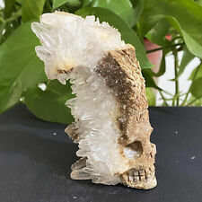 274G Natural White crystal cluster Carved Skull Quartz Crystal Healing picture