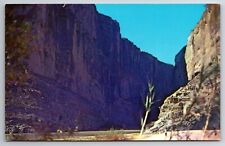 Hello From Santa Elena Canyon, Big Bend National Park, TX chrome Unp Postcard picture