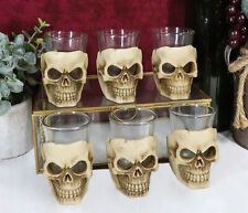 Ebros Grinning Skull Shot Glass Set of 6 Altar of Skulls Skeleton Ossuary Skull picture