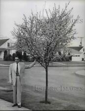 1957 Press Photo Paul M Rhodes besides double flowering plum tree in Portland picture