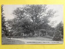 cpa FRANCE 78 - YVELINES PUPILLIERS in the park Le GROS OAKNE ARBRE TREE picture
