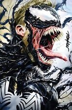 VENOM: SEPARATION ANXIETY #1 (2024) Mike Mayhew Studio Variant Cover B Sig w/COA picture