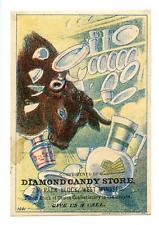 1882 WEST WINSTED CT*DIAMOND CANDY STORE*BULL IN CHINA SHOP*VICTORIAN TRADE CARD picture