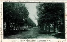 Interlaken NY North Main Street Dirt Road Street View Vtg Postcard Old 1900s UDB picture