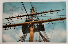 1908 Ship Postcard Aloft on a United States Training Ship Navy Sailors Rigging picture