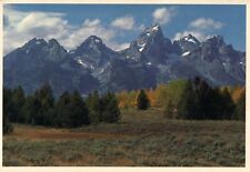 View of More Than Three Tetons Moose Wyoming Postcard picture